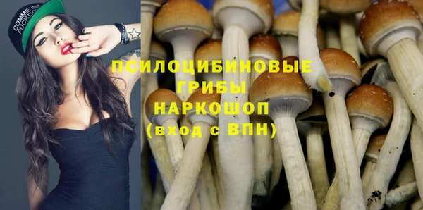винт Аркадак