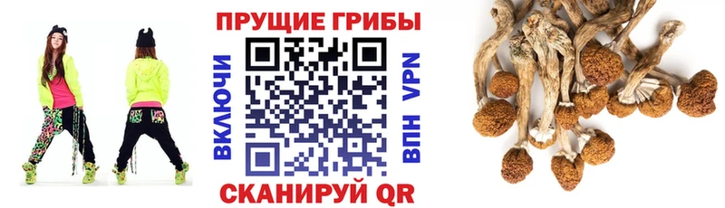 мориарти Telegram  Спас-Деменск  Галлюциногенные грибы Magic Shrooms 